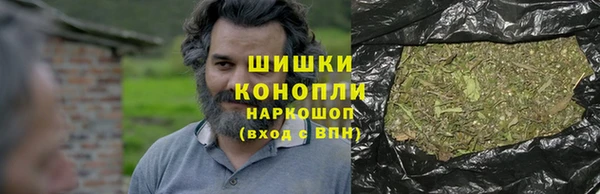 прущие грибы Козельск