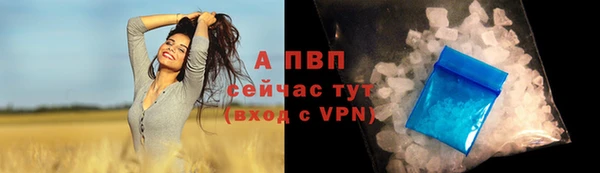 дживик Переславль-Залесский