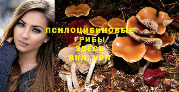 mdma Дмитриев